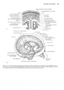 bf4c9e189576917.jpg