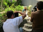 imagebam.com