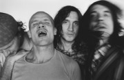 Red Hot Chili Peppers  8ac965203793090